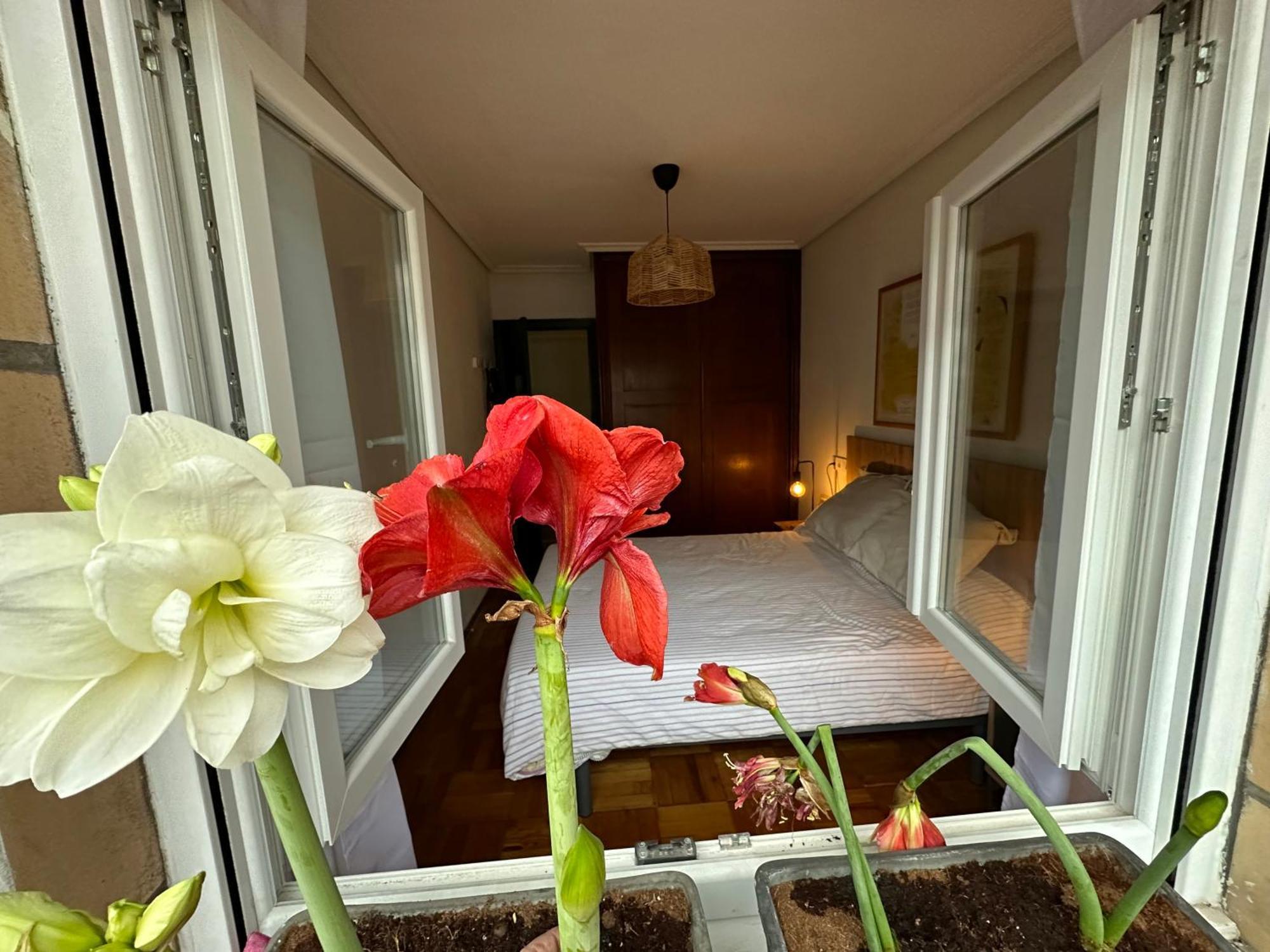 Piso Grande Reformado Y Centrico Apartamento *